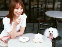 pet friendly restaurants in Pigeon forge, TN; dog friendly restaurants in Gatlinburg, dogs allowed Pigeon Forge restaurants near Dollywood